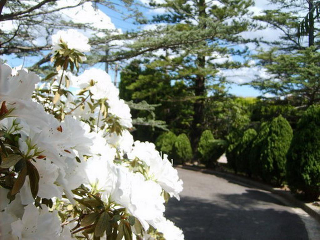 Tantarra Guest House - Pet Friendly Warners Bay Exteriör bild